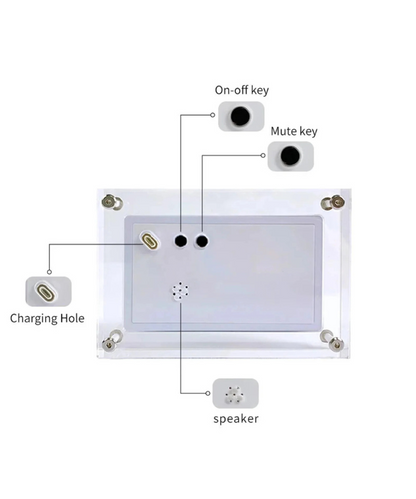 Digital Video Frame